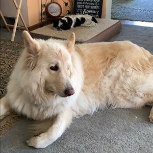 Meet your Posher, Terry